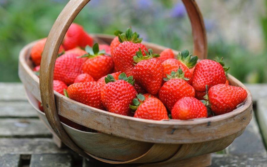 Time for English Strawberries and Pimms! - Silversurfers