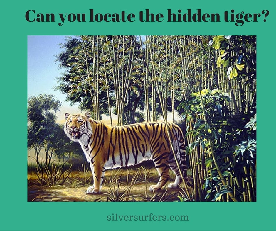 Can you locate the hidden tiger-